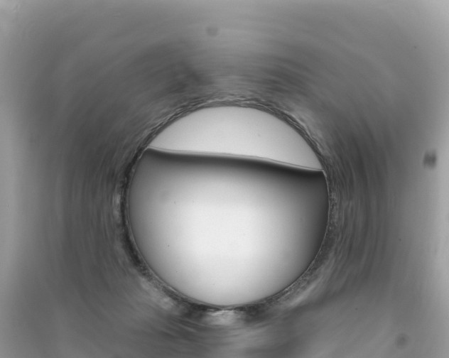 X0000091310269200708101115