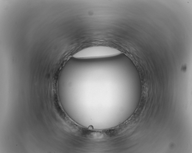 X0000091310272200708101115
