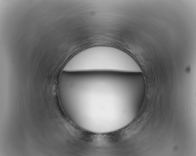 X0000091310273200708101115