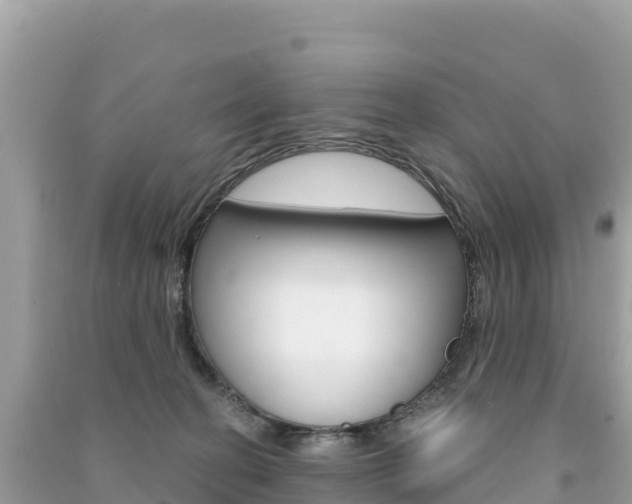 X0000091310274200708101115