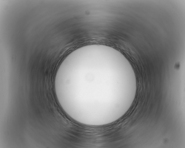 X0000091310276200708101115