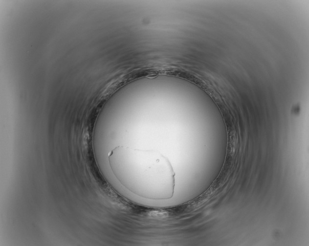 X0000091310279200708101115