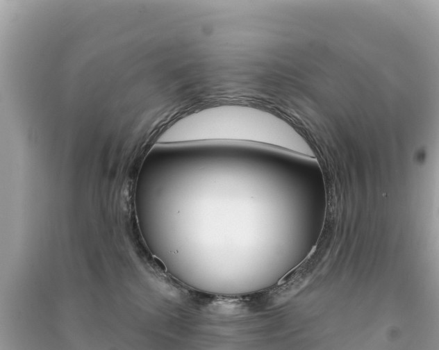 X0000091310280200708101115