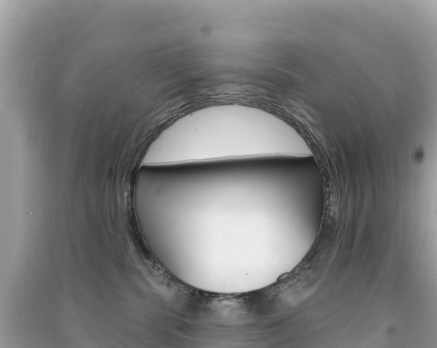 X0000091310283200708101115