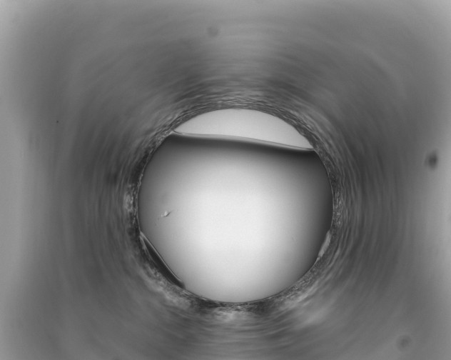 X0000091310284200708101115