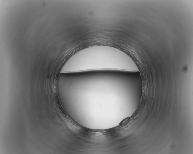 X0000091310285200708101115