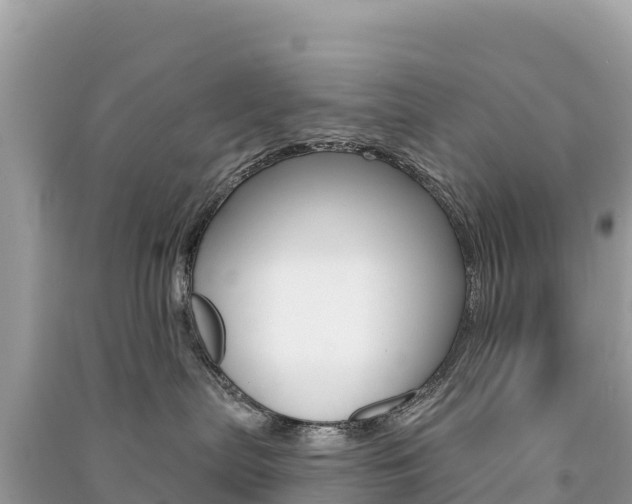 X0000091310287200708101115