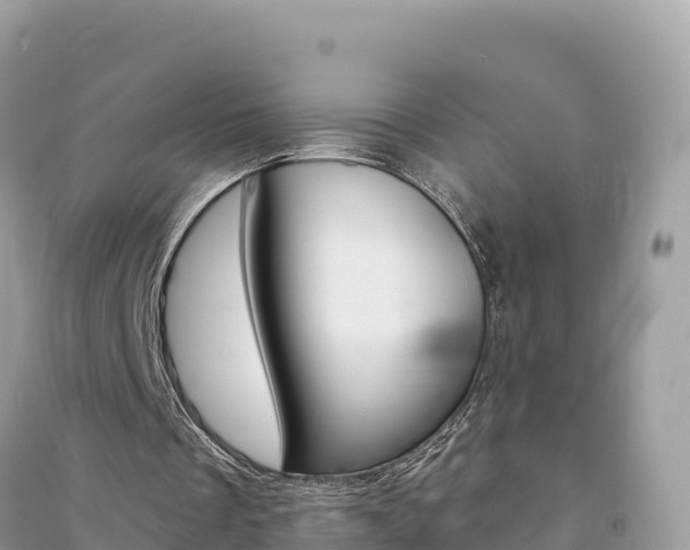 X0000091310289200708101115