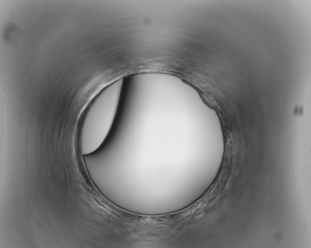 X0000091310290200708101114