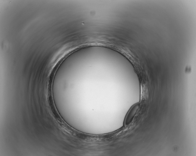 X0000091310291200708101114