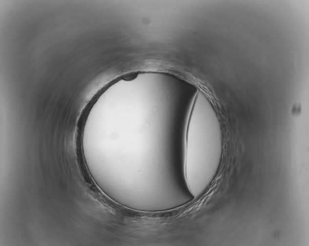 X0000091310292200708101114