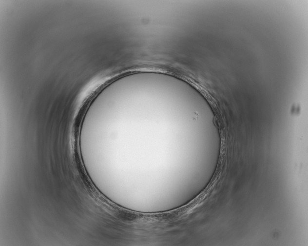 X0000091310294200708101114