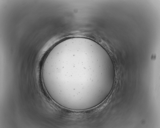 X0000091310295200708101114
