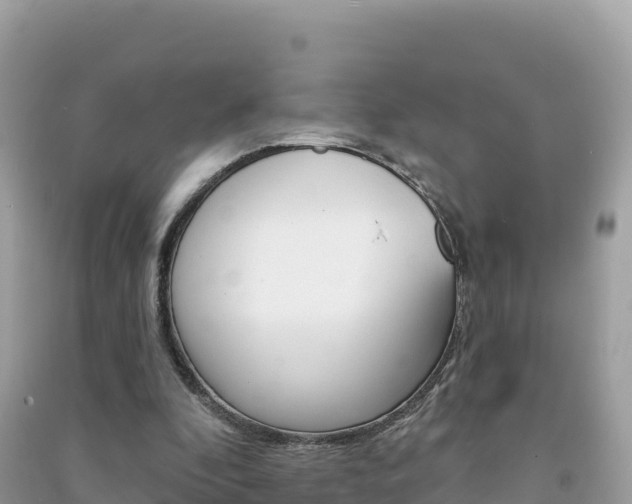 X0000091310296200708101114