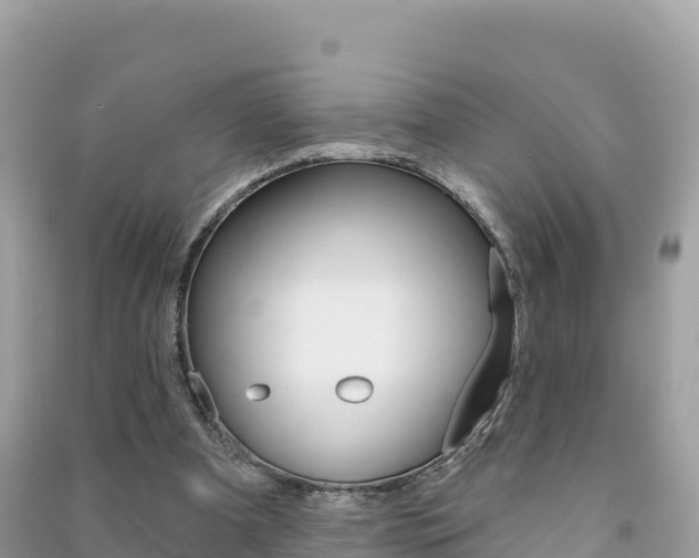 X0000091310297200708101114