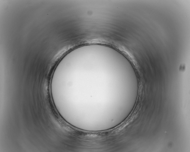 X0000091310298200708101114