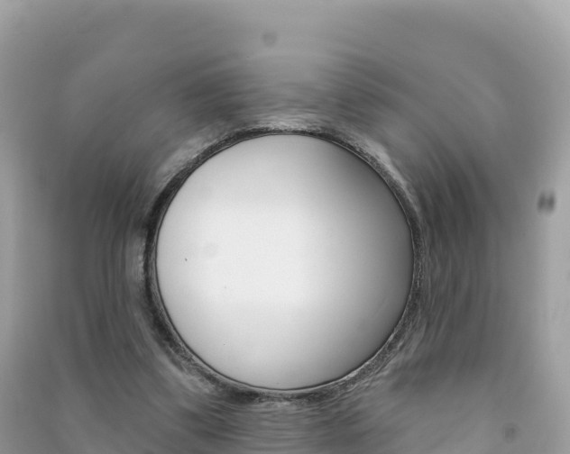 X0000091310299200708101114