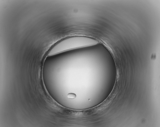 X0000091310301200708101114