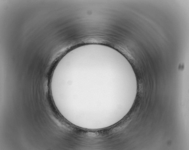 X0000091310302200708101114
