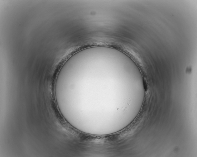 X0000091310306200708101114