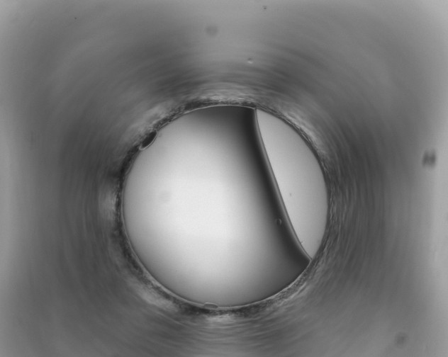 X0000091310309200708101114