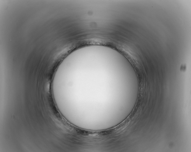 X0000091310310200708101114