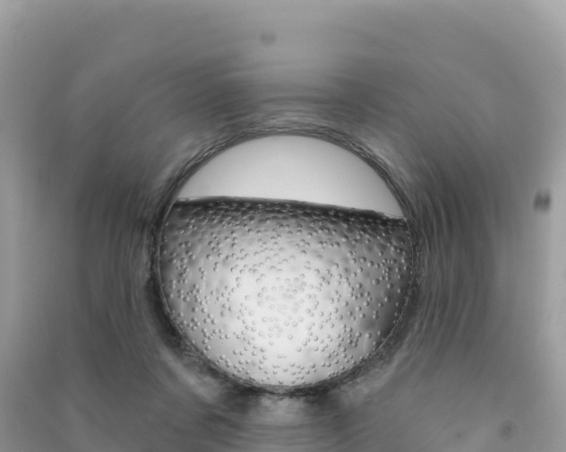 X0000091310311200708101114