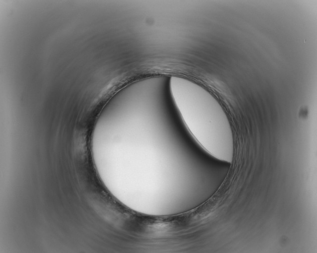 X0000091310312200708101114