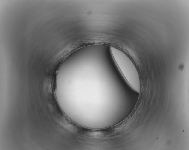 X0000091310313200708101114