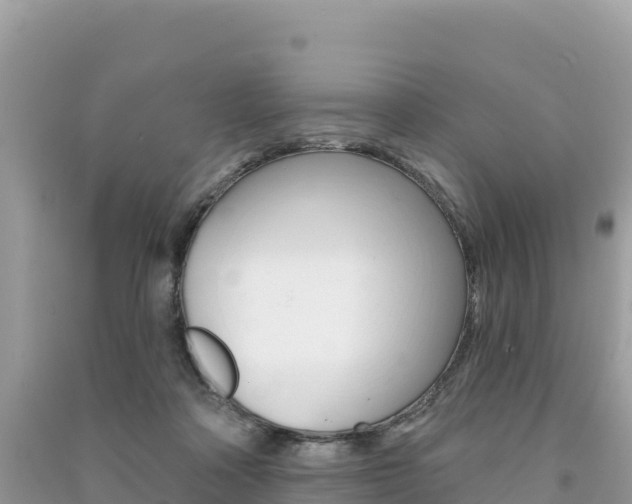 X0000091310314200708101114