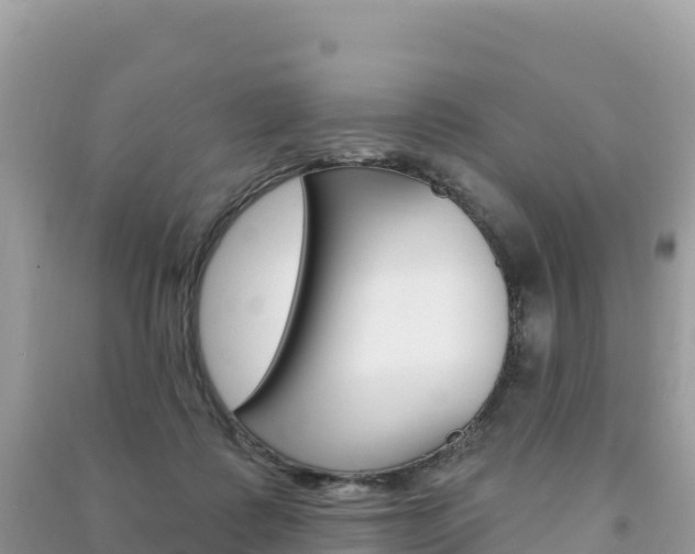 X0000091310315200708101114