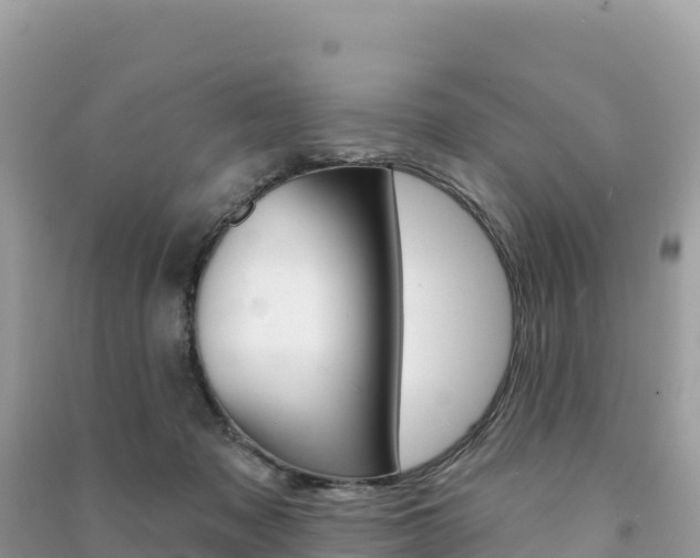 X0000091310317200708101114
