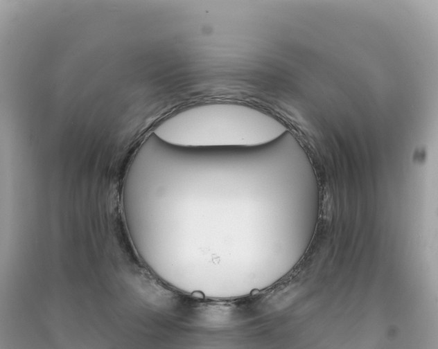 X0000091310318200708101114