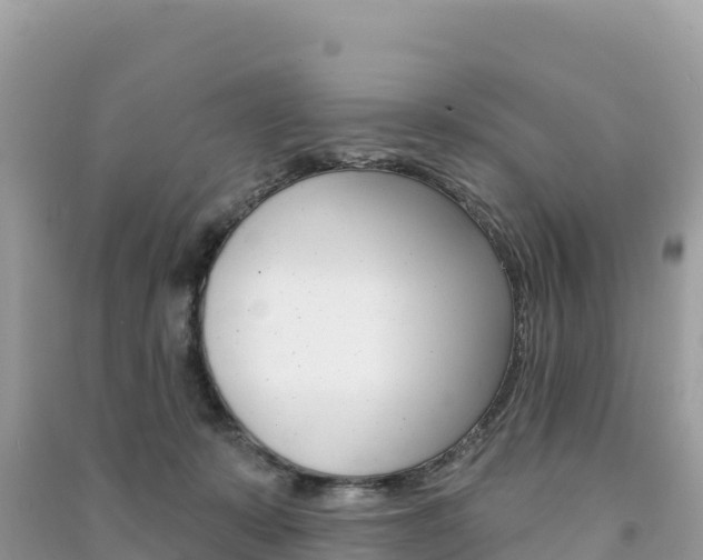 X0000091310319200708101114