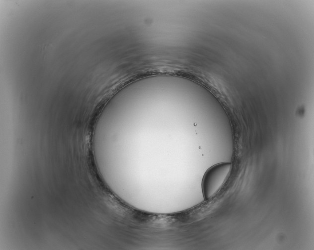 X0000091310321200708101114