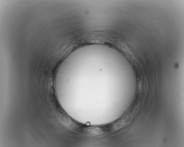 X0000091310322200708101114