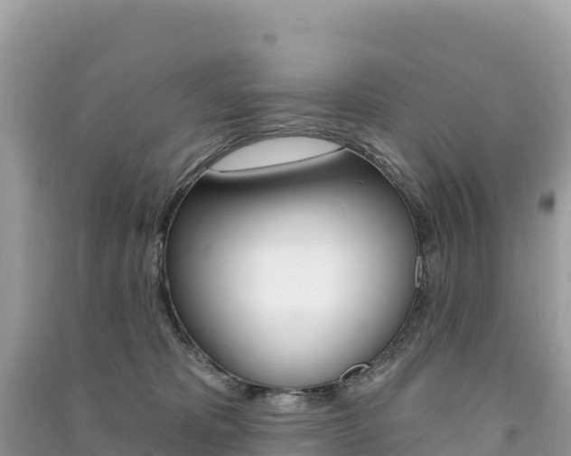 X0000091310325200708101114