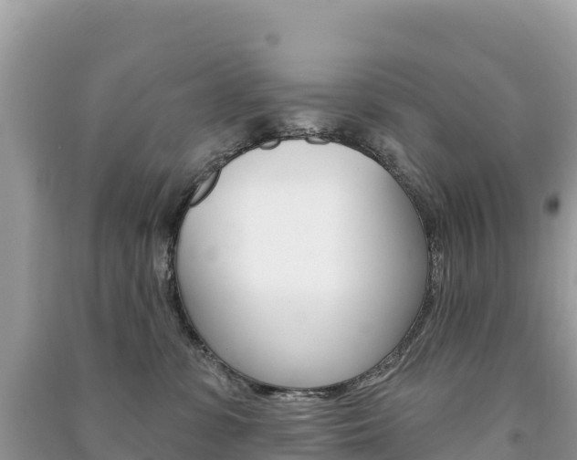 X0000091310331200708101114
