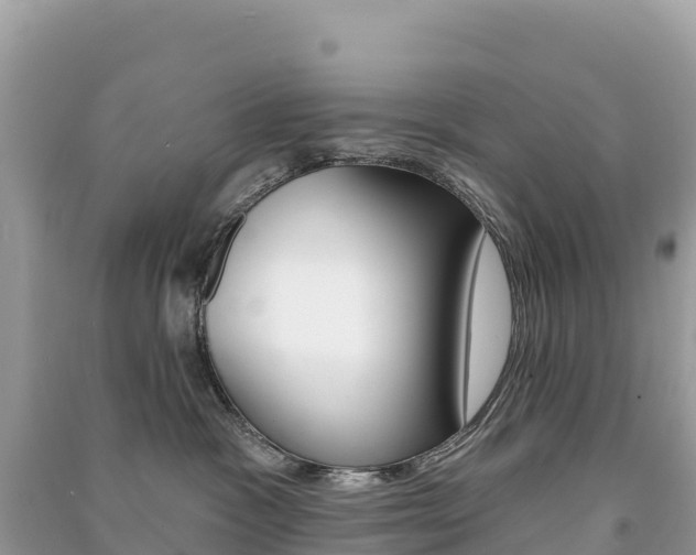 X0000091310333200708101114