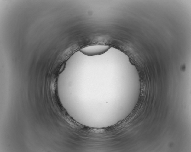 X0000091310334200708101114