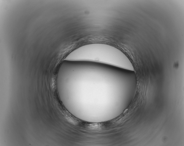 X0000091310335200708101114