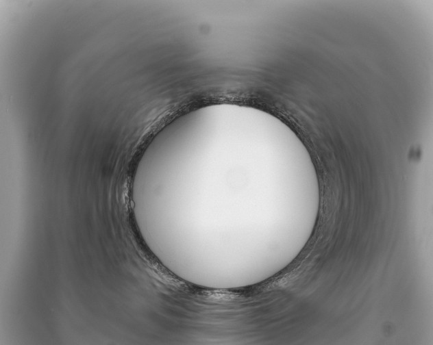 X0000091310336200708101114