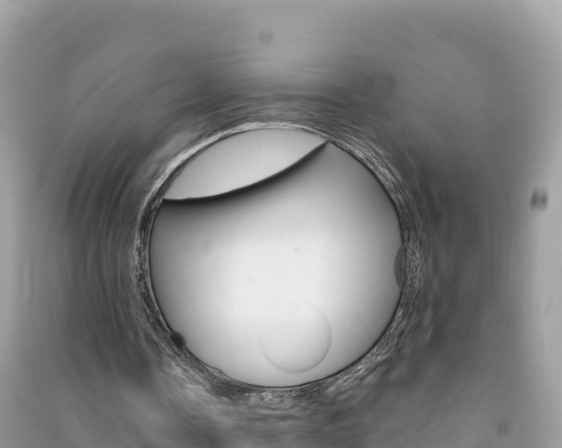 X0000091310338200708101113