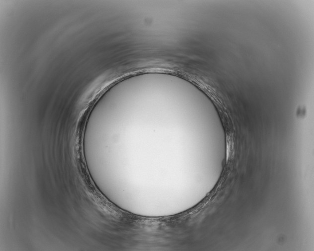 X0000091310339200708101113