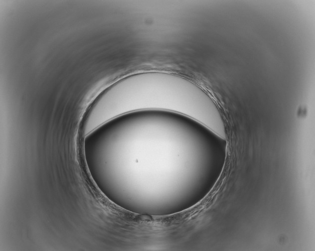 X0000091310340200708101113