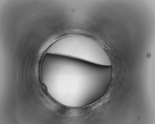 X0000091310341200708101113
