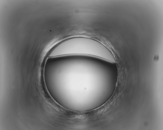 X0000091310344200708101113