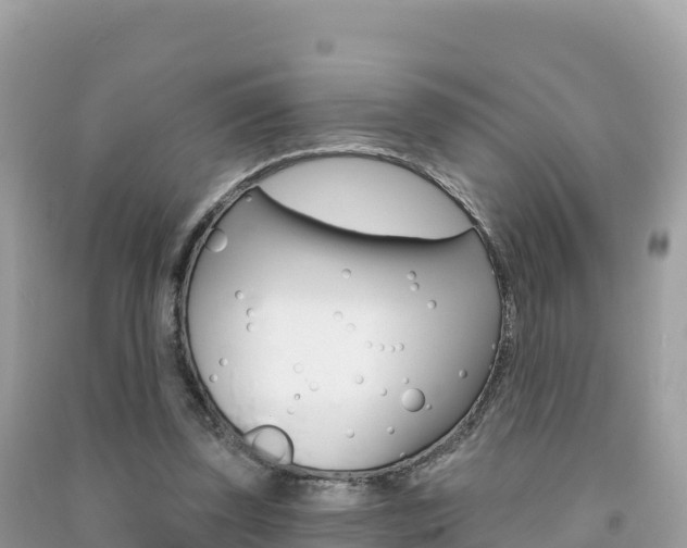 X0000091310347200708101113