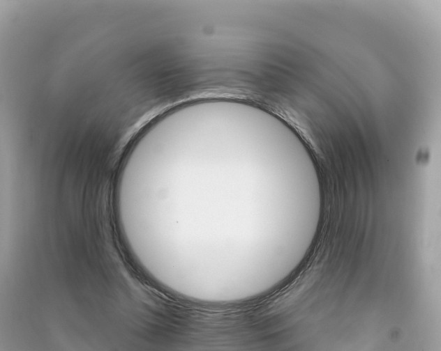 X0000091310348200708101113