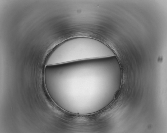 X0000091310349200708101113